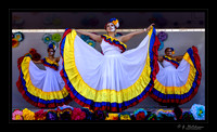 Dia de los Muertos