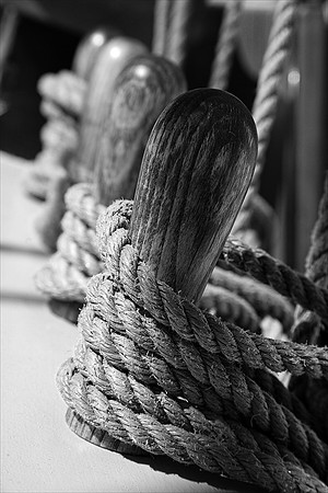 "Belaying Pins"