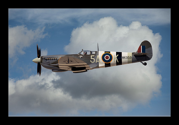 P-40 Warhawk