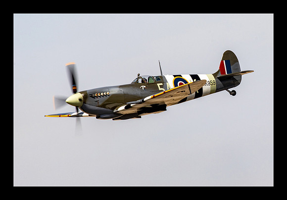 P-40 Warhawk