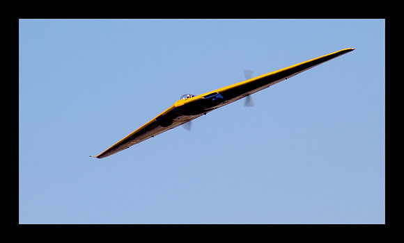 Flying Wing