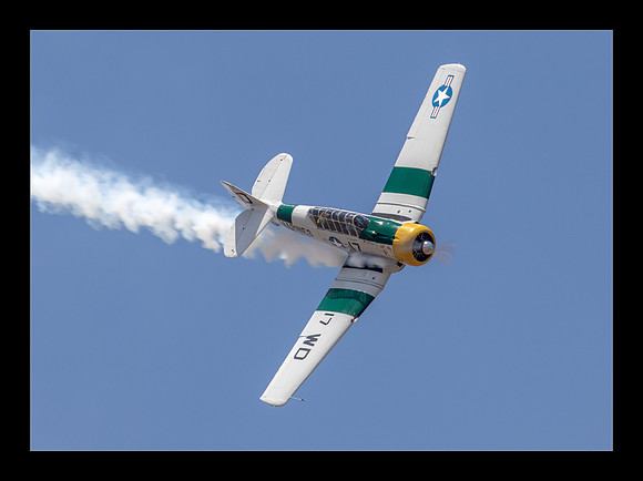 Wardog T-6 - John Colliver
