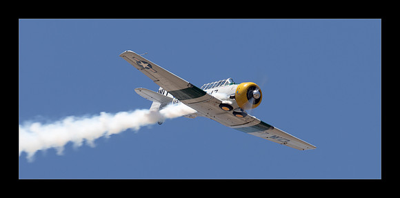 Wardog T-6 - John Colliver