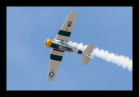 Wardog T-6 - John Colliver