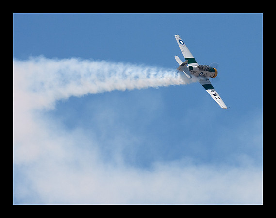 Wardog T-6 - John Colliver