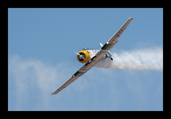 Wardog T-6 - John Colliver