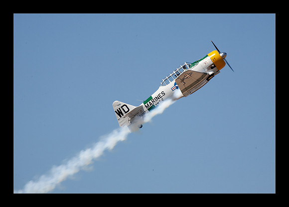 Wardog T-6 - John Colliver