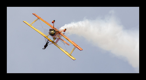 Gene Soucy Wing Walker