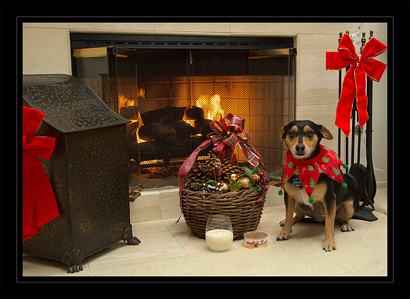 Milk and Dog food for Santa