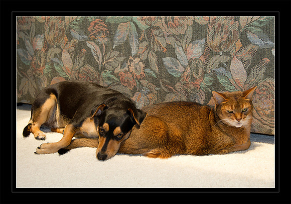 Prada & Cassie - 1st Week