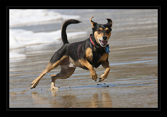 She loved the beach