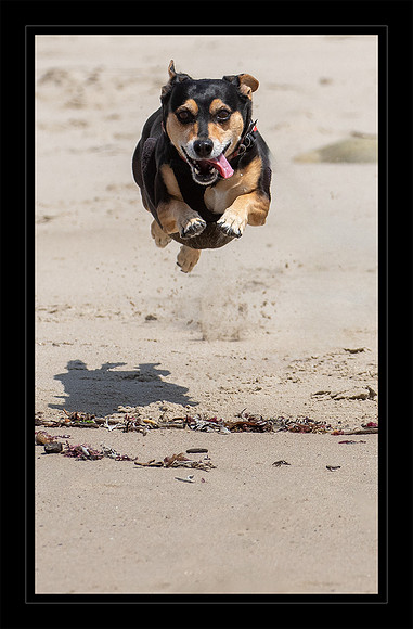 How High Can I Leap?