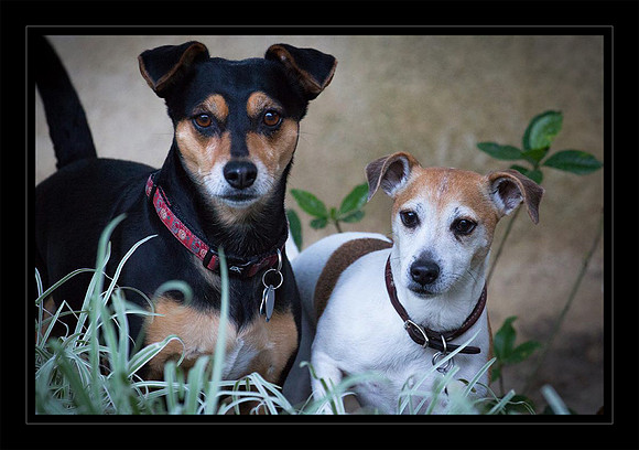 Lily is a Regular Visitor - Best Friends